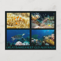 Carte postale de la mer de corail