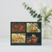 Carte postale de la mer de corail - Poisson clown (Debout devant)