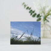 Carte postale de la nature (Debout devant)