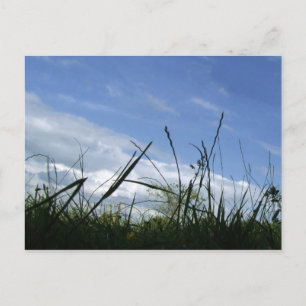 Carte postale de la nature