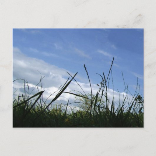 Carte postale de la nature (Devant)