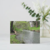 Carte postale de la nature (Debout devant)