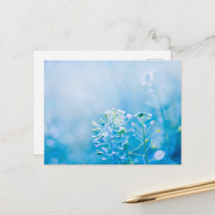 Carte postale de la nature de la fleur sauvage ble