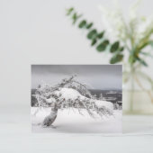 Carte postale de la nature finlandaise (Debout devant)