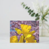 Carte postale de la nature Fleurs de printemps Flo (Debout devant)