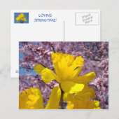Carte postale de la nature Fleurs de printemps Flo (Devant / Derrière)