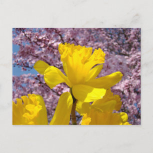 Carte postale de la nature Fleurs de printemps Flo