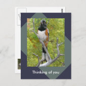 Carte postale de la nature sur le côté roux (Devant / Derrière)