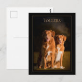 Carte postale de la Nouvelle-Écosse - Récupérateur (Devant / Derrière)