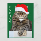 Carte postale de la photo de Noël Humbug (Devant)