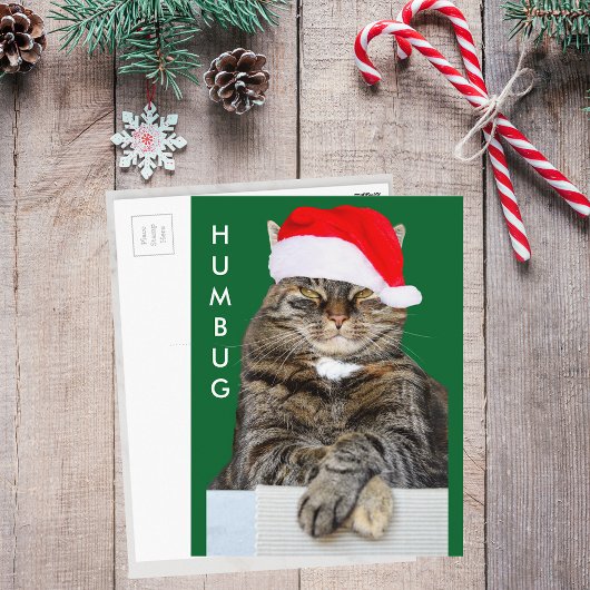 Carte postale de la photo de Noël Humbug