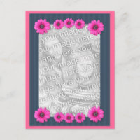 Carte postale de la photo rose Fleurs de marguerit