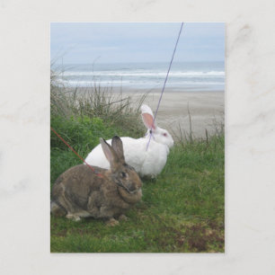 Carte postale de la plage