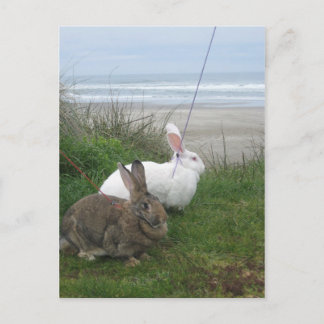 Carte postale de la plage