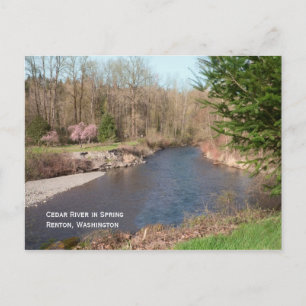 Carte postale de la plage de Cedar River