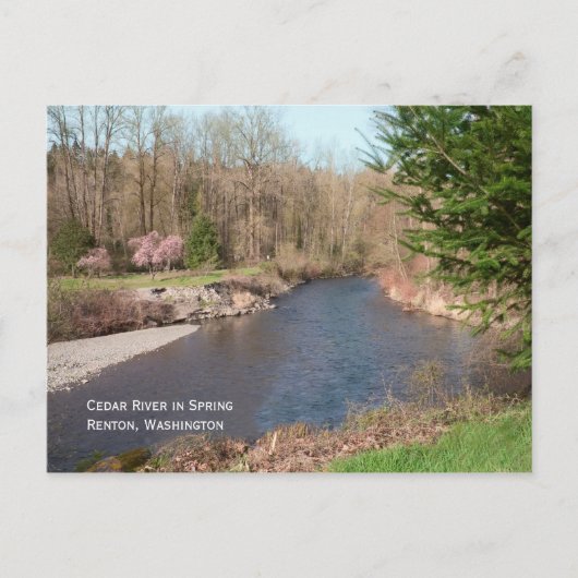 Carte postale de la plage de Cedar River (Devant)