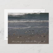 Carte postale de la plage de l'île Assateague (Devant / Derrière)