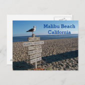 Carte postale de la plage de Malibu - Panneau de m (Devant / Derrière)