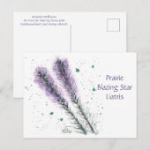 Carte postale de la Prairie Blazing Star (Devant / Derrière)