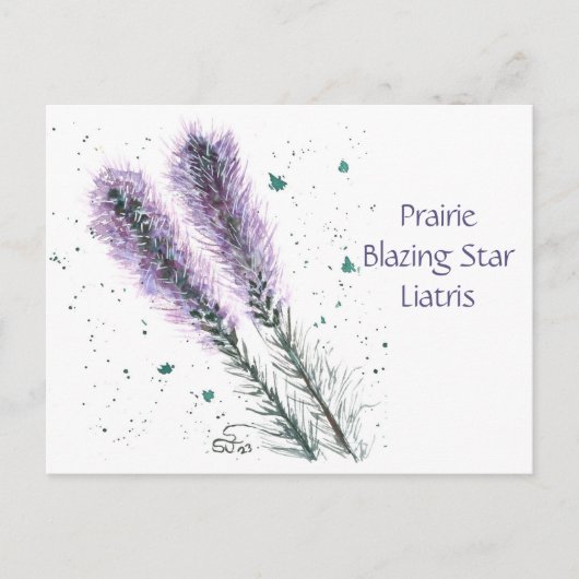 Carte postale de la Prairie Blazing Star (Devant)
