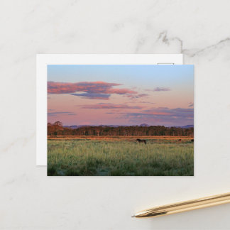Carte postale de la prairie forestière sereine