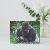 Carte postale de la prière Gorilla (Debout devant)