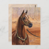 Carte postale de la princesse égyptienne cheval ar (Devant / Derrière)