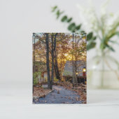 Carte postale de la promenade Sunset Woods d'autom (Debout devant)