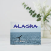 Carte postale de la queue de baleine Alaska paysag (Debout devant)