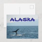 Carte postale de la queue de baleine Alaska paysag (Devant / Derrière)