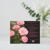 Carte postale de la Recette de truffes au chocolat (Debout devant)