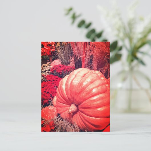 Carte postale de la récolte d'automne (Debout devant)