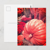 Carte postale de la récolte d'automne (Devant / Derrière)