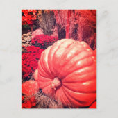 Carte postale de la récolte d'automne (Devant)