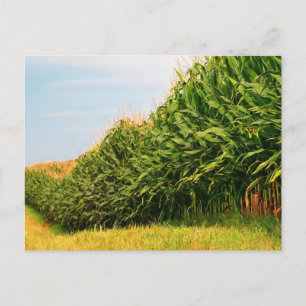 Carte postale de la récolte de maïs de la vie agri