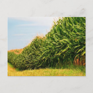 Carte postale de la récolte de maïs de la vie agri
