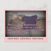 Carte postale de la règle des chats (Devant)