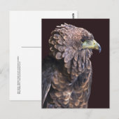 Carte postale de la Reine Alien (Devant / Derrière)