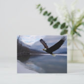 Carte postale de la réserve d'aigles Chilkat (Debout devant)