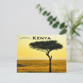 Carte postale de la réserve nationale du Masai Mar (Debout devant)