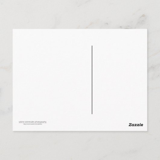 Carte postale de la rivière (Dos)