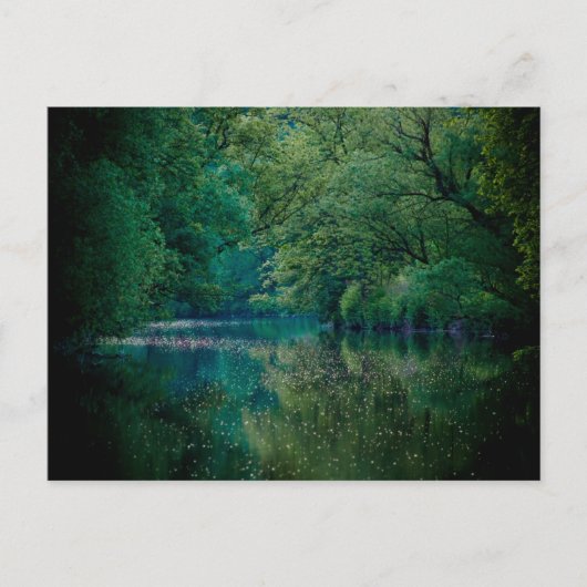 Carte postale de la rivière (Devant)