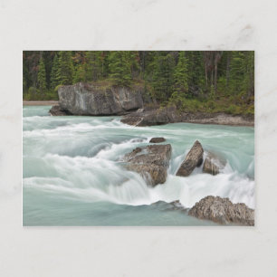 Carte postale de la rivière canadienne