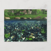 Carte postale de la rivière Cwm (Devant)