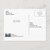 Carte postale de la rivière de Chicago et de la Tr (Dos)