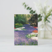 Carte postale de la rivière Grape Hyacinth (Debout devant)