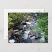 Carte postale de la rivière Presque Isle (Devant / Derrière)