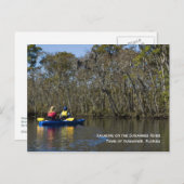 Carte postale de la rivière Suwannee (Devant / Derrière)