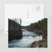 Carte postale de la rivière Yellowstone (Devant / Derrière)