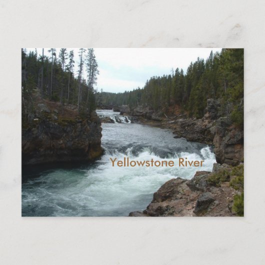 Carte postale de la rivière Yellowstone (Devant)